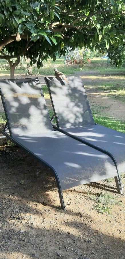 Cirali Friends Pension&Camping Экстерьер фото