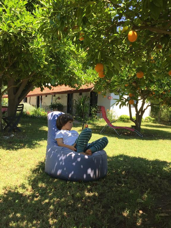 Cirali Friends Pension&Camping Экстерьер фото