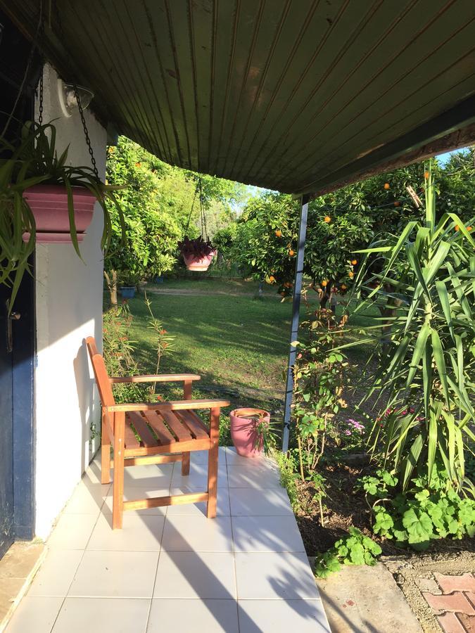 Cirali Friends Pension&Camping Экстерьер фото